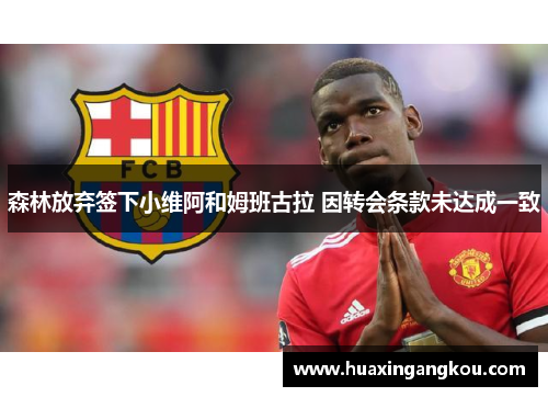 森林放弃签下小维阿和姆班古拉 因转会条款未达成一致